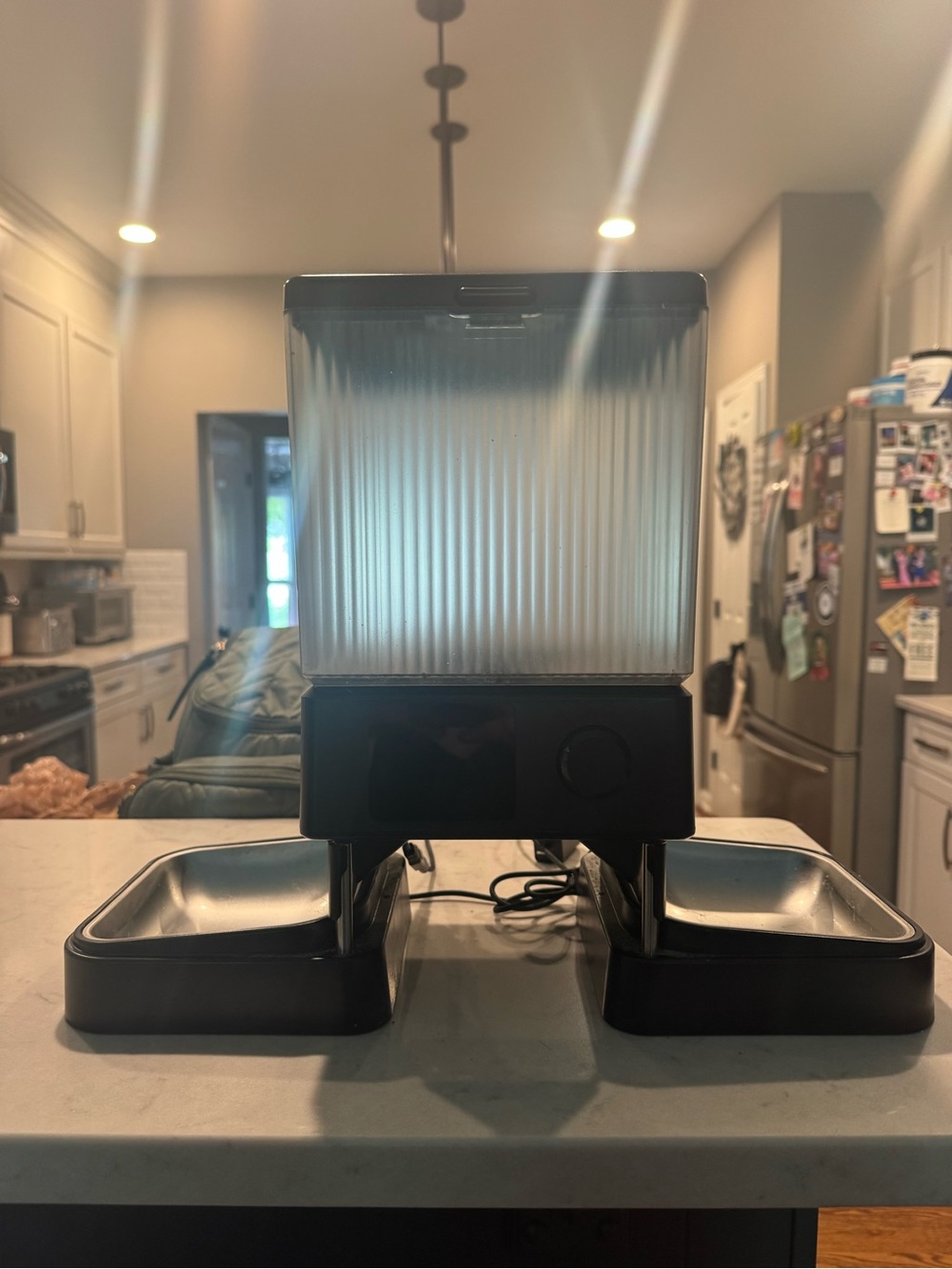 Automatic Dual Cat Feeder with Clear Food Hopper - Black